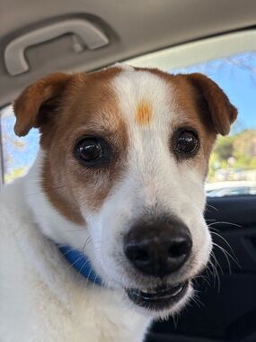 meet the seller: steph